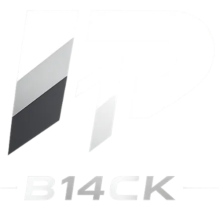 B14ck-Scripts logo